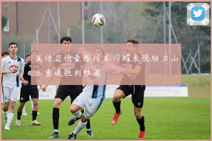 高诗岩德豪陈培东闪耀表现助力山东重返胜利轨道